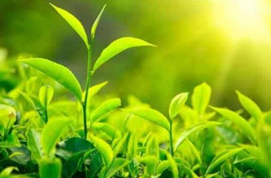 &#21315;&#20159;&#20307;&#32946;&#30331;&#24405;&#32593;&#31449;&#65288;&#20013;&#22269;&#65289;&#38598;&#22242;&#26377;&#38480;&#20844;&#21496;